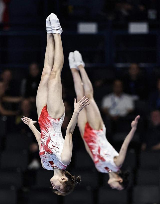 包含北极熊代表队团结协作，团体项目夺冠的词条