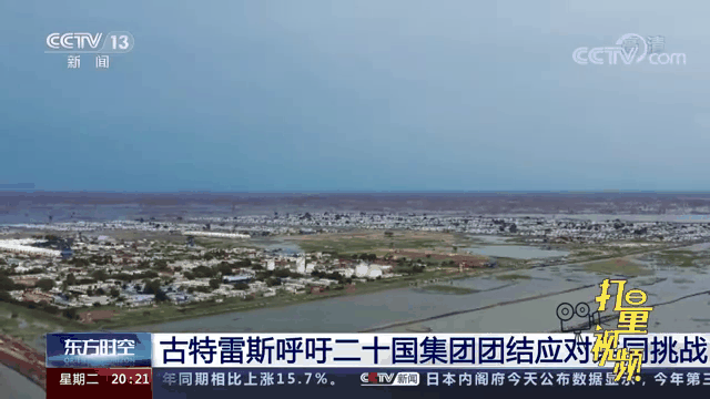 浙江队遭遇挑战，需团结应对