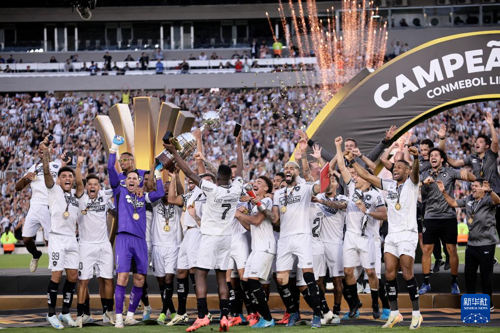 美洲杯赛事赛果揭晓，南美国家实力表现优秀