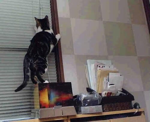 英雄主义与历史之夜,京多安的独舞与威尔士的破晓之战