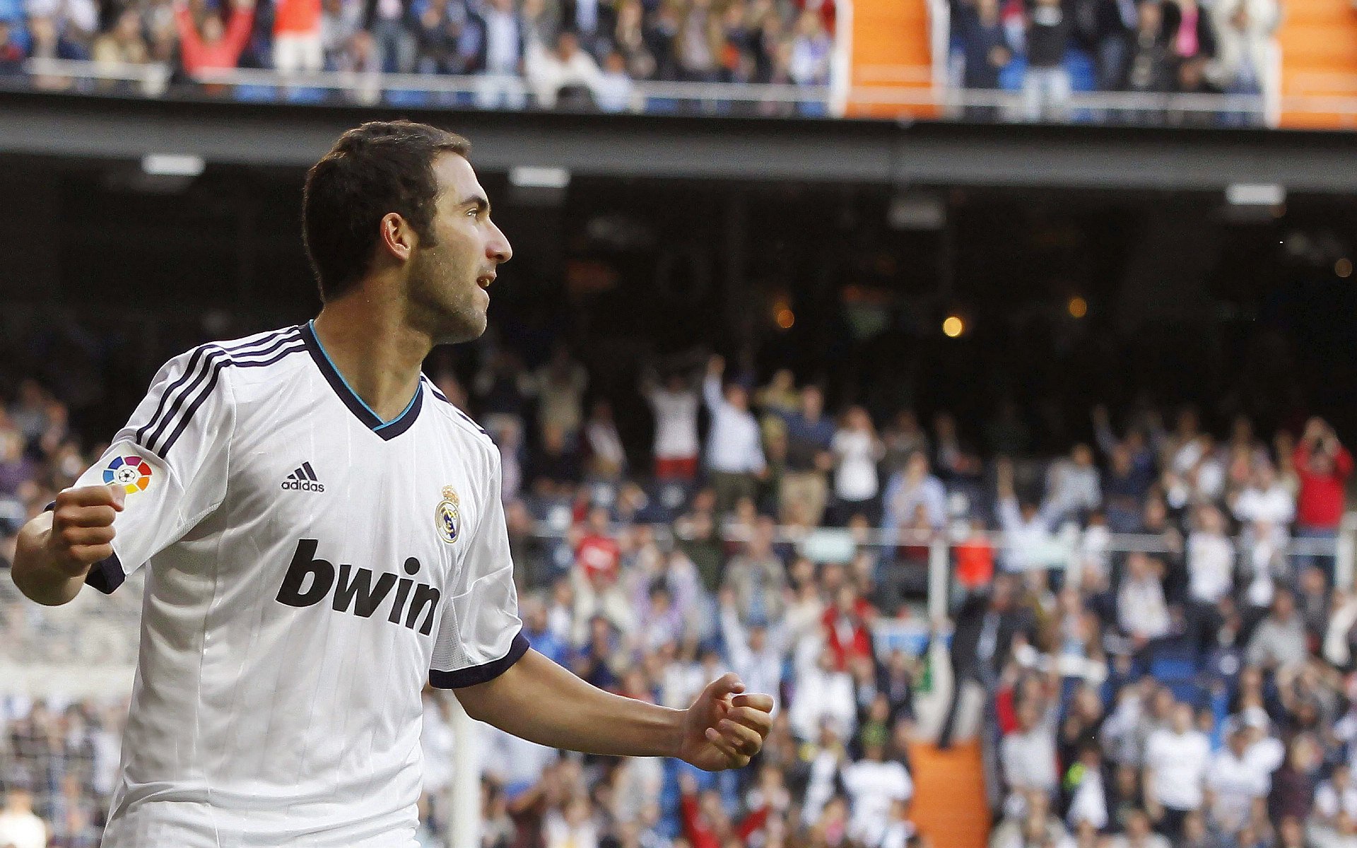 禁药、暴力美学与全民目击，那个本不存在的伊布，如何撕裂了塞内加尔的黄昏